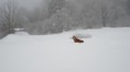 /album/a6-12-mesiacov/a20130120-img-5227-1200x674-1000x562-jpg/